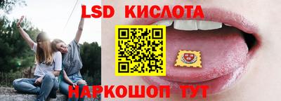 прущие грибы Гатчина