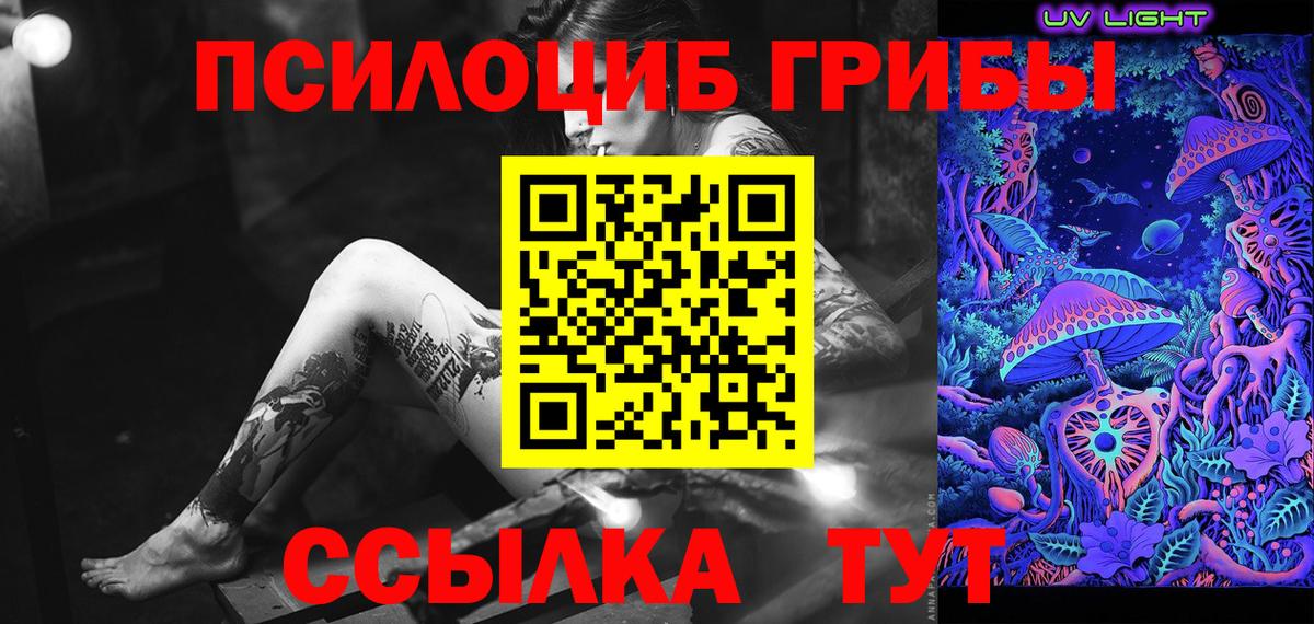 Корсаков  Псилоцибиновые грибы мухоморы  Вход с VPN 